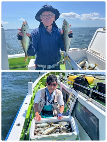 マアジの釣果