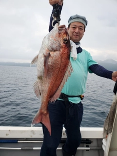 マダイの釣果