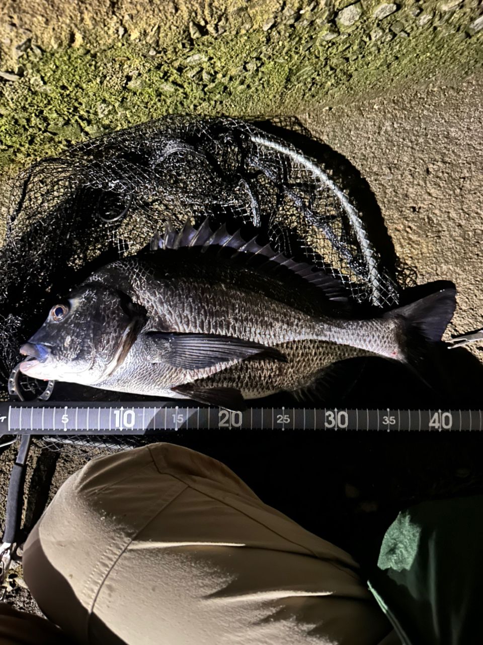 DAIWA 23月下美人 AIR 68L-T・Wの最安値・インプレ・釣果 | 本音の