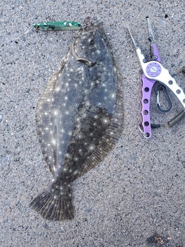 釣果