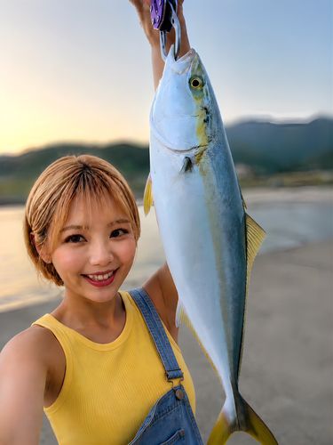 イナダの釣果