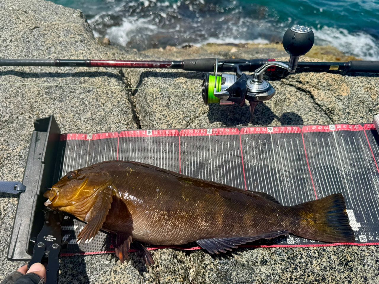 DAIWA HRF® (ハードロックフィッシュ) AGS 2019年モデルの最安値