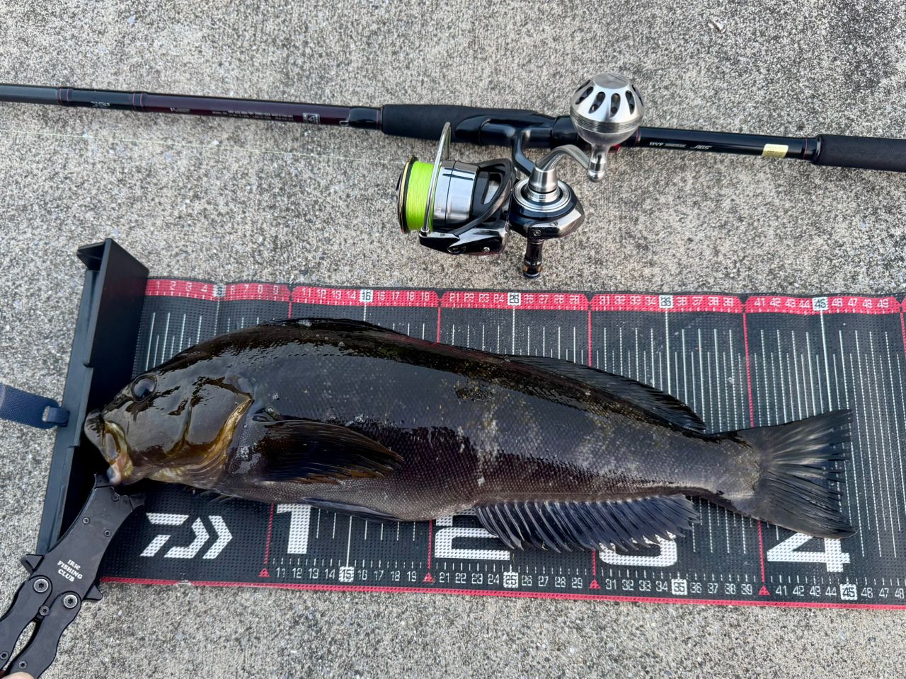 DAIWA HRF® (ハードロックフィッシュ) AGS 2019年モデルの最安値