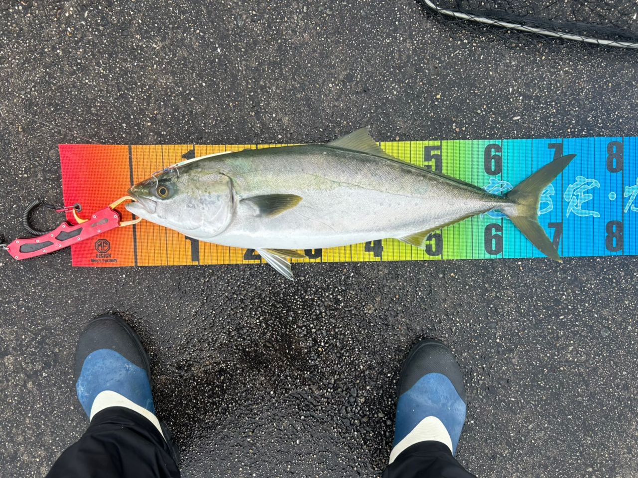 SHIMANO 21ツインパワー XD C5000XGの最安値・インプレ・釣果 | 本音の