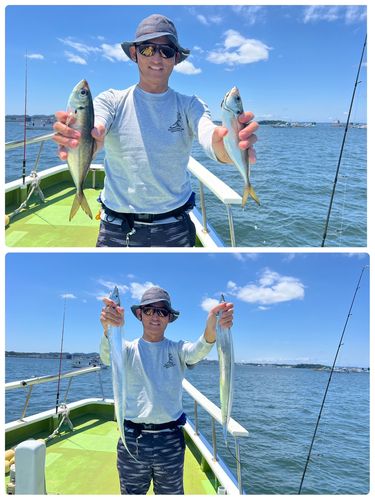 マアジの釣果