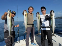 サゴシの釣果