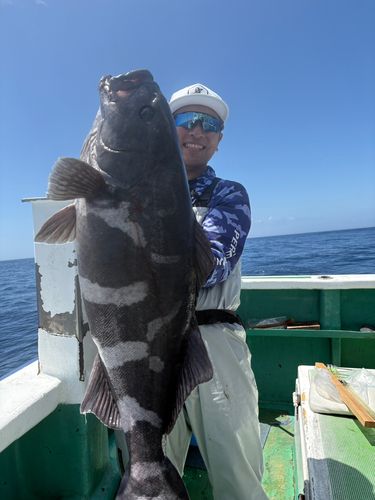 アブラボウズの釣果