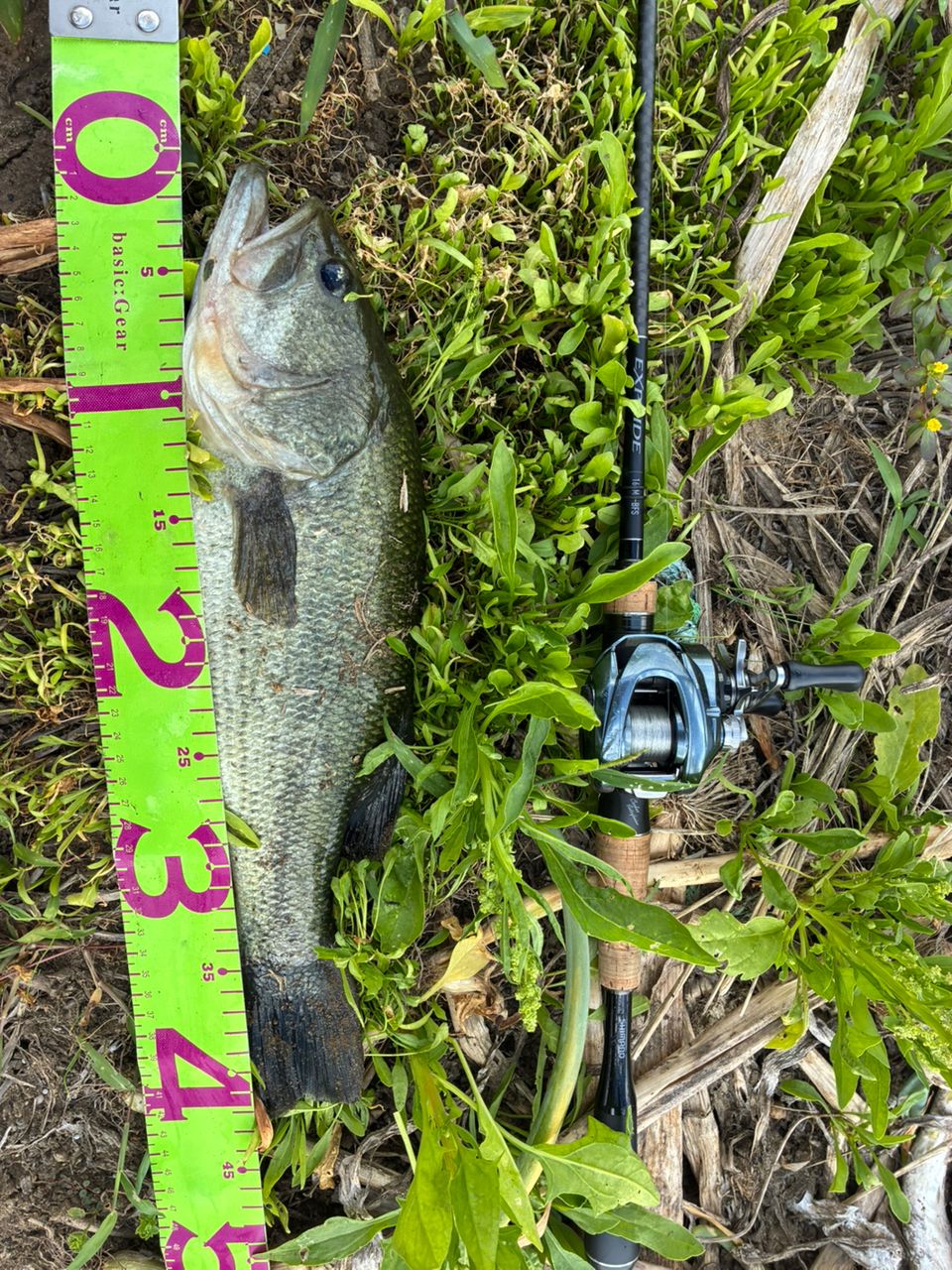 SHIMANO 22エクスプライド 165ML-BFSの最安値・インプレ・釣果 | 本音