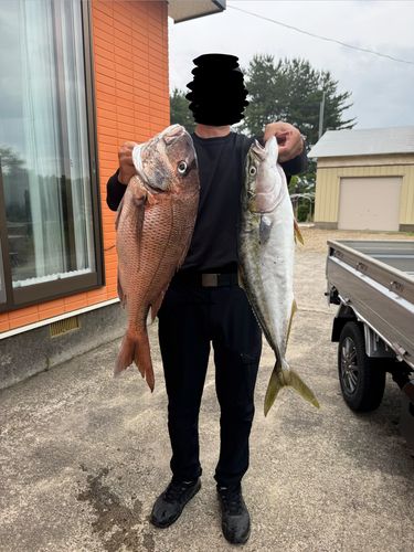 タイの釣果