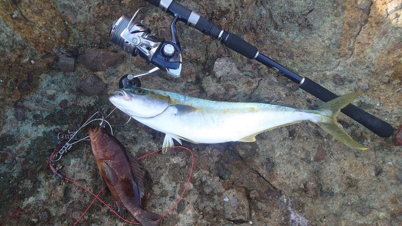 SHIMANO 19コルトスナイパー SS S106MHの最安値・インプレ・釣果