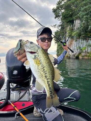 ブラックバスの釣果