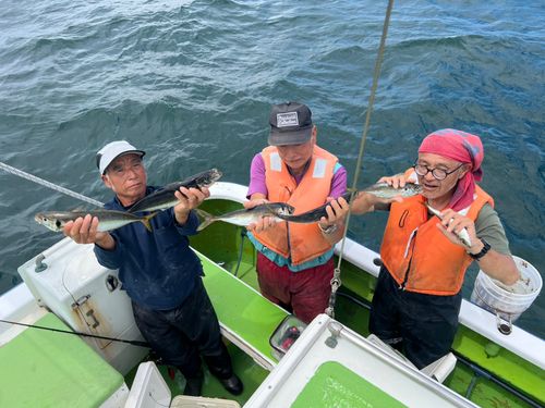 マアジの釣果