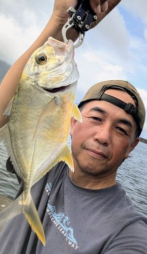 メッキの釣果