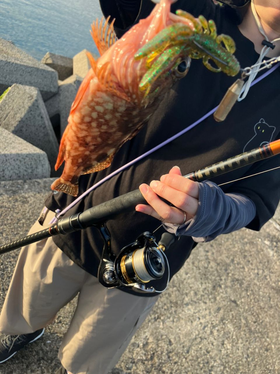 AbuGarcia ソルティーステージ KR-X キジハタ SXKS-822M-KRの最安値