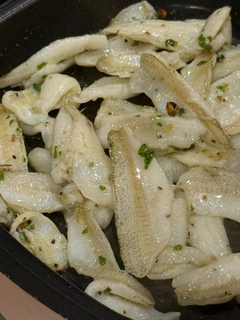 シロギスの釣果