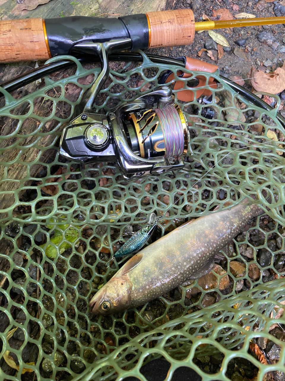 SHIMANO 20ツインパワー C2000SHGの最安値・インプレ・釣果 | 本音の