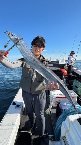 タチウオの釣果