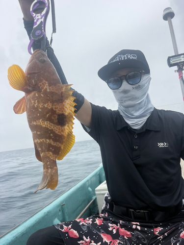 ブリの釣果
