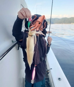 ケンサキイカの釣果
