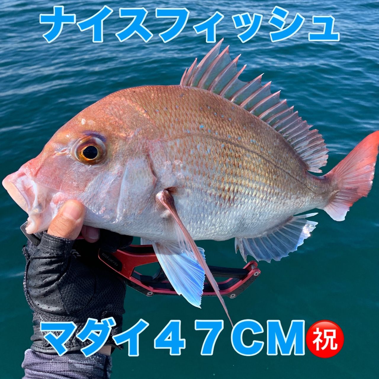 DAIWA 18紅牙 IC 100PL-RMの最安値・インプレ・釣果 | 本音の口コミが