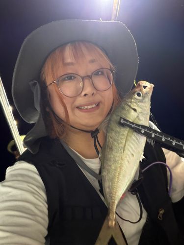 マアジの釣果