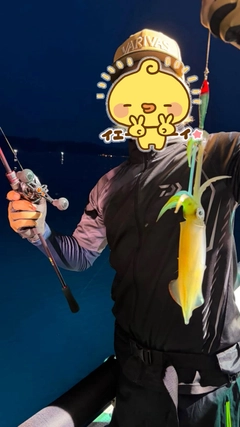 ケンサキイカの釣果