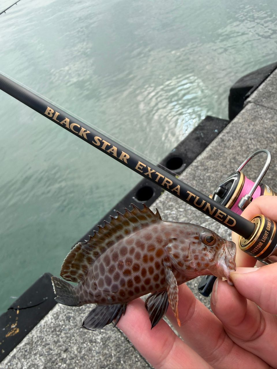 DAIWA 20ルビアス FC LT2500S-XHの最安値・インプレ・釣果 | 本音の