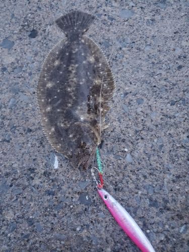 釣果