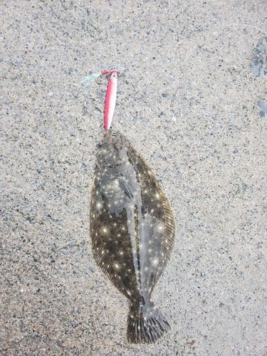 釣果