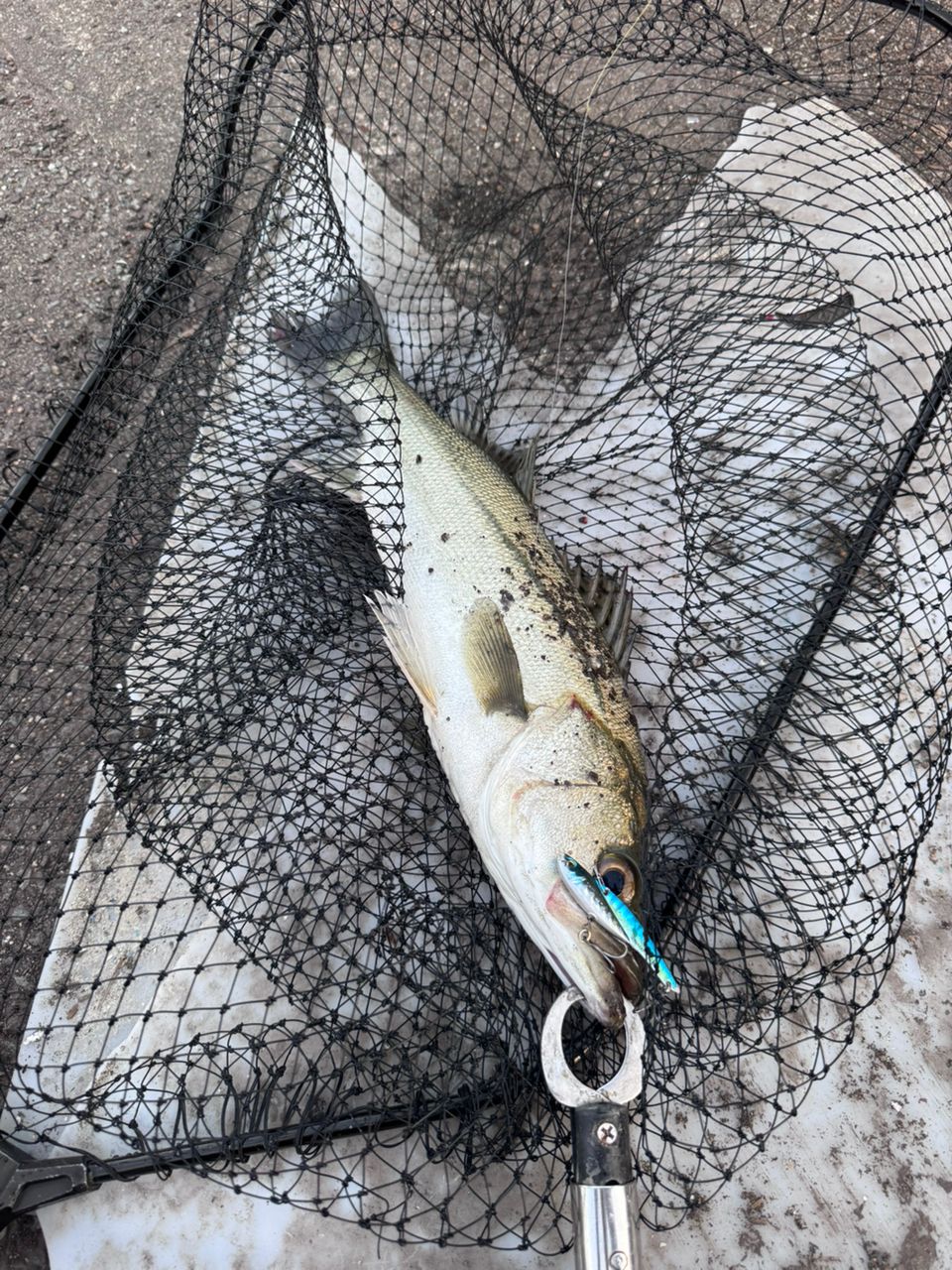 SHIMANO 22エクスセンス ズーム S86-96Mの最安値・インプレ・釣果