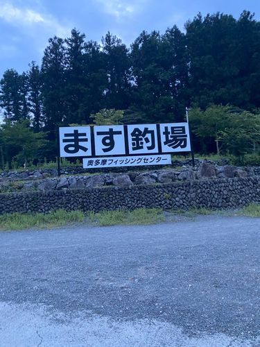 レインボートラウトの釣果