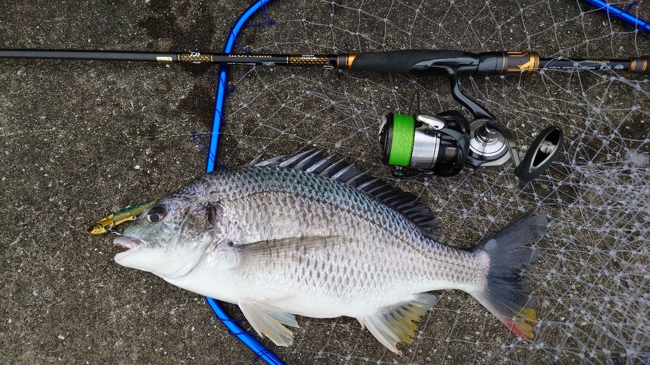 ほぼ未使用 Daiwa 21 モアザン ブランジーノ EX AGS 94ML DAIWA 21モアザン ブランジーノ EX AGS 94MLの最安値・インプレ・釣果
