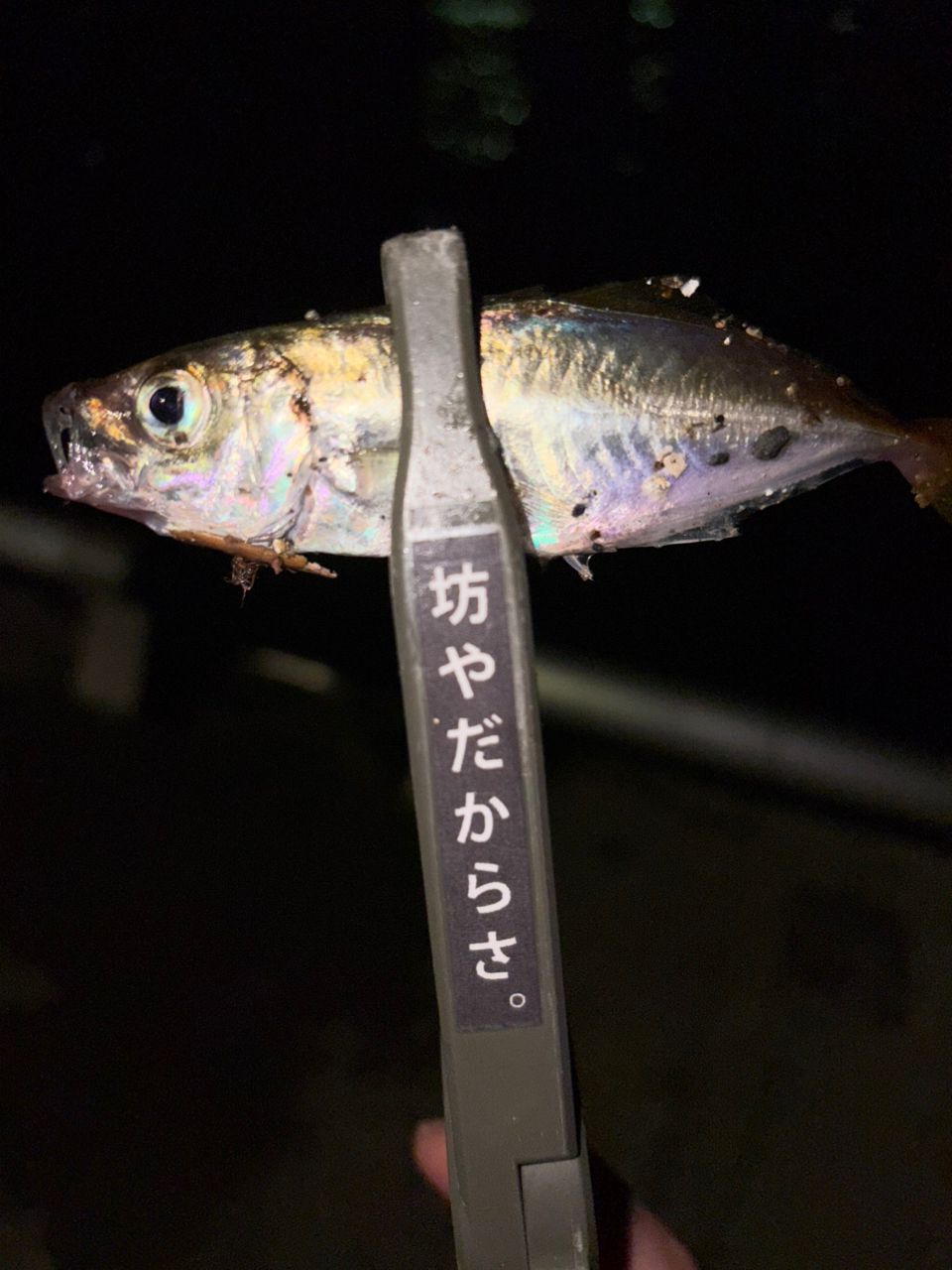 Gamakatsu ラグゼ 宵姫 華 弍 S54AL-solidの最安値・インプレ・釣果