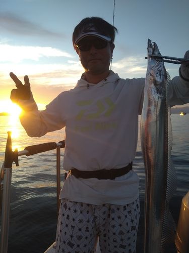 タチウオの釣果
