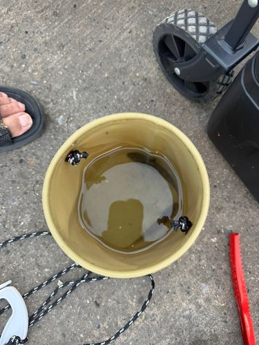 ハゼの釣果