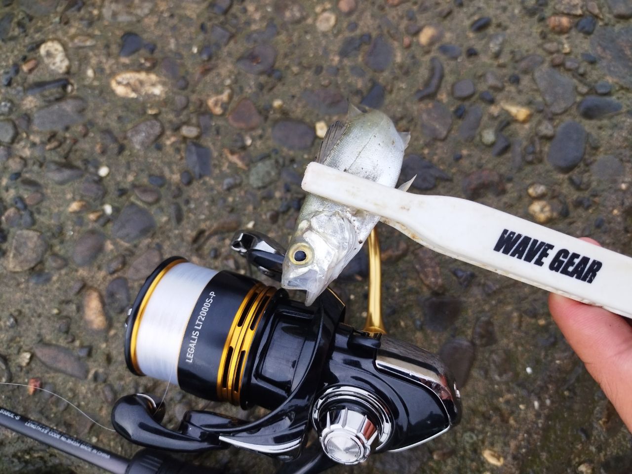 SHIMANO 22ソアレ SS アジング S58UL-Sの最安値・インプレ・釣果