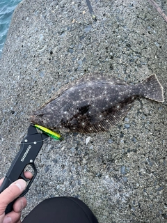 ソゲの釣果
