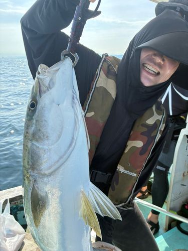 ブリの釣果