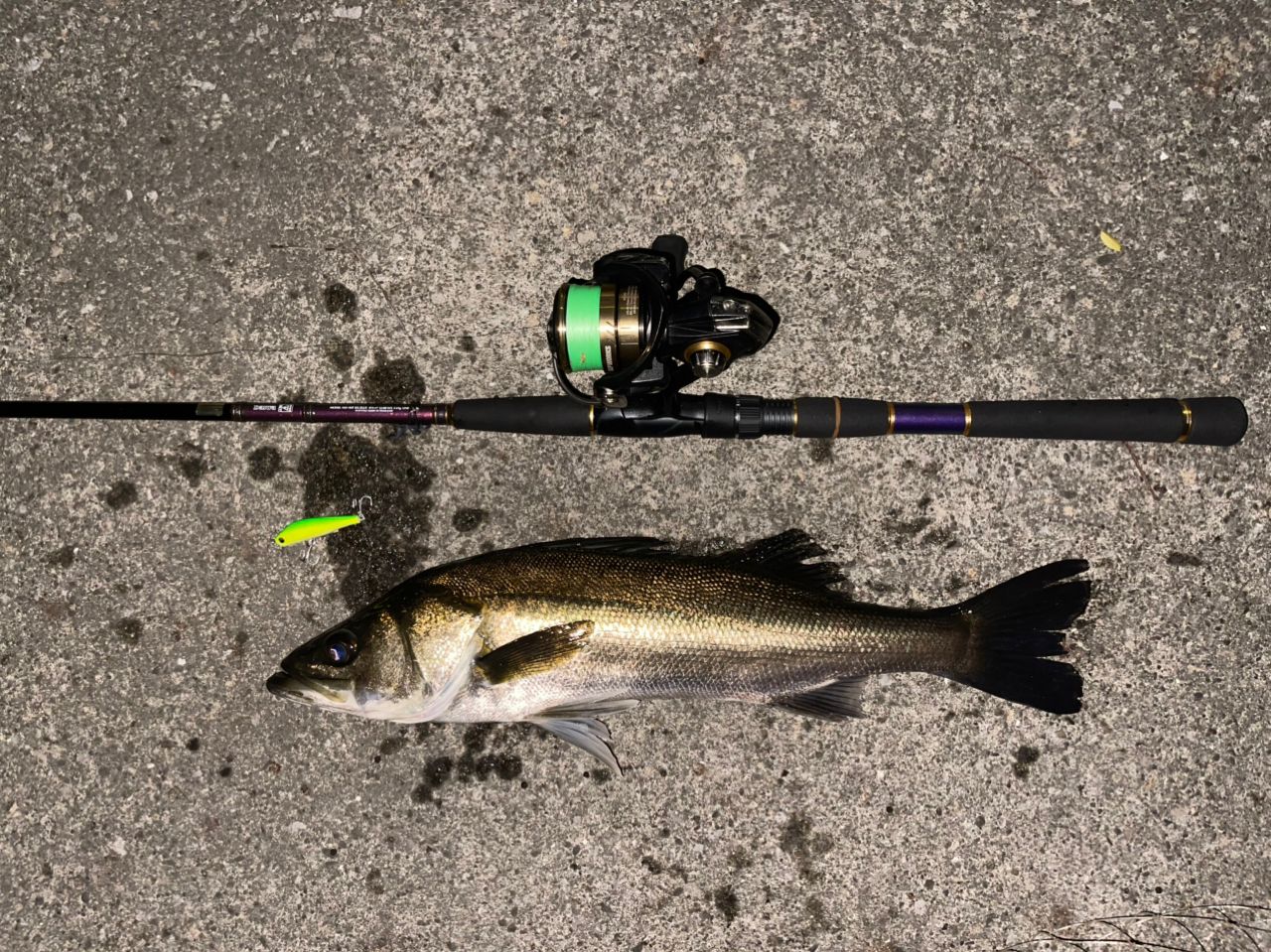 DAIWA 21カルディア LT2500S-XHの最安値・インプレ・釣果 | 本音の