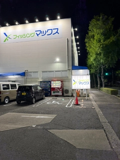キスの釣果