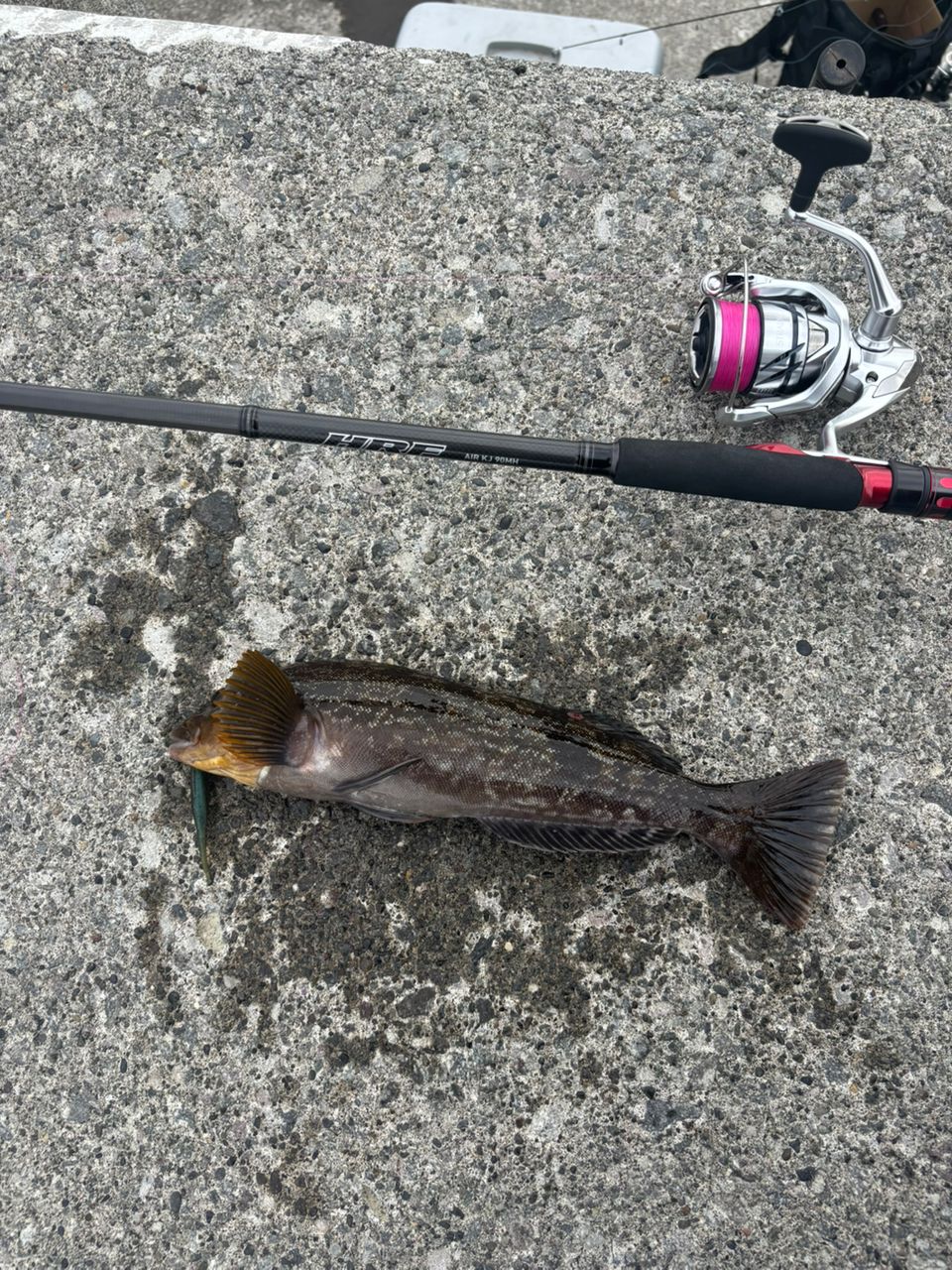 DAIWA 16HRF® (ハードロックフィッシュ) KJ 90MHSの最安値・インプレ