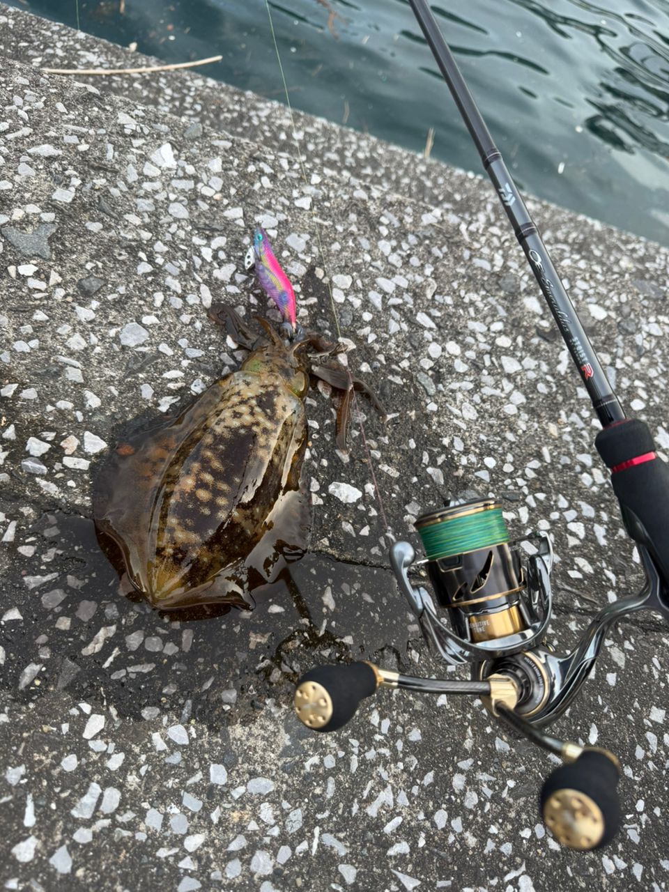 DAIWA 21エメラルダス ストイスト RT 76MMHの最安値・インプレ・釣果