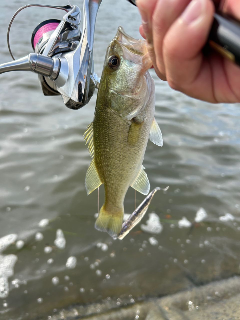 DAIWA 20リベリオン（センターカット2ピース スピニングモデル