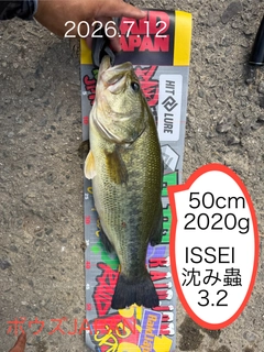 ブラックバスの釣果