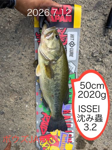 ブラックバスの釣果