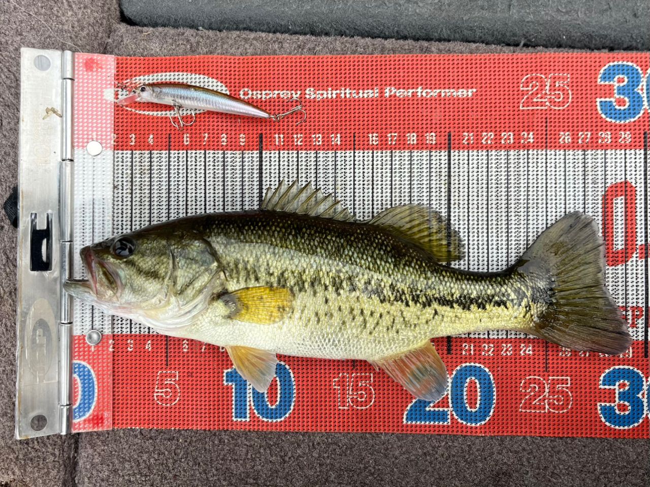DAIWA 17イージス 2505F-Hの最安値・インプレ・釣果 | 本音の口コミが