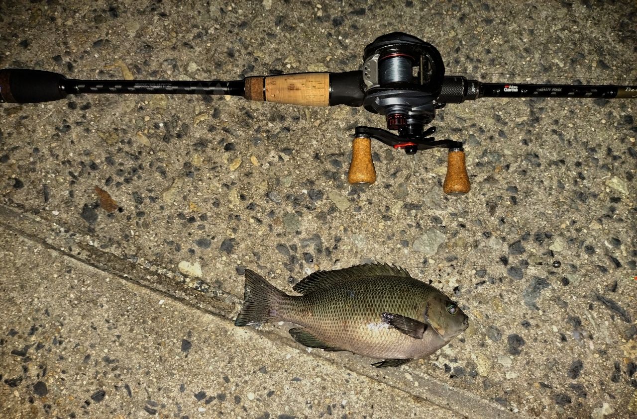 AbuGarcia ソルティーステージ・KR-X・ベイトフィネスカスタム SBFC