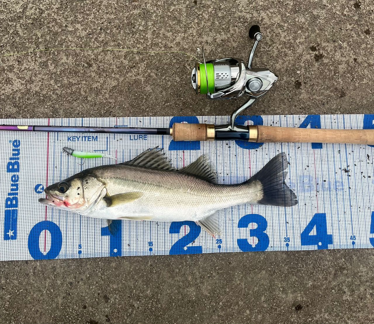 SHIMANO 23ワールドシャウラ リミテッド 2701FF-3の最安値・インプレ