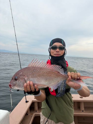 タイの釣果