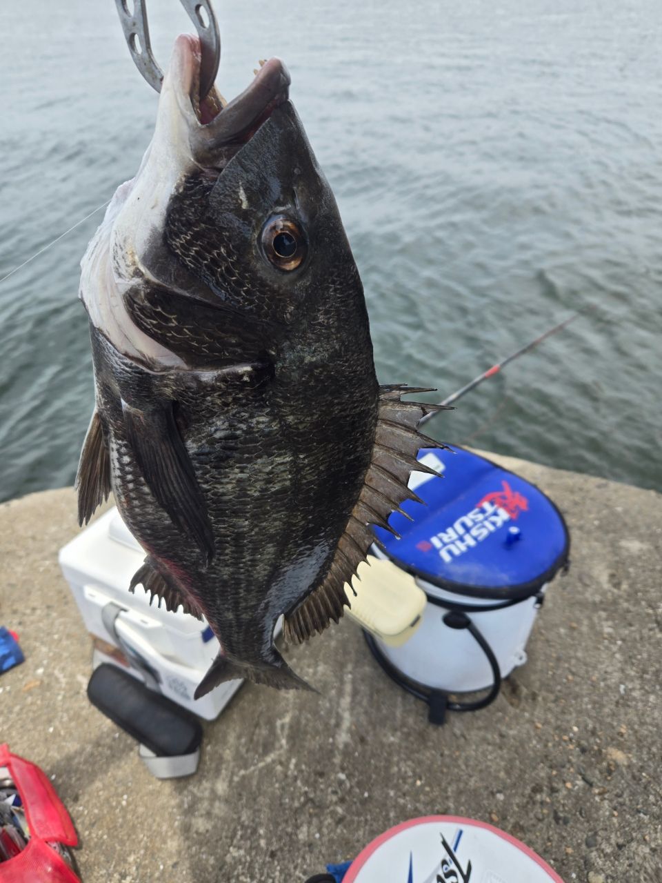 DAIWA 23ラグザス 2500XH-LBDの最安値・インプレ・釣果 | 本音の口コミ